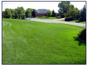 A Greener Seasons lawn